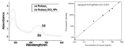 fig117-2a_副本.jpg