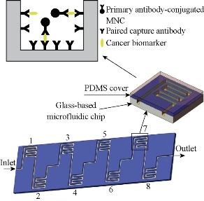 D:\xwu\Nano Biomedicine and Engineering\Articles for production\排版\8(4)\NBE-2016-0030 A giant magnetoimpedance-based microfluidic system for multiplex immunological assay (Yang Hao 20161116)\figs processed\gst2.jpg