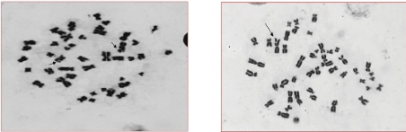 D:\xwu\Nano Biomedicine and Engineering\Articles for production\排版\2021\13（1）\【13-1-9】NBE-2020-0089（排版中 2021-3-3）\publishing\mm\mmt8.jpg