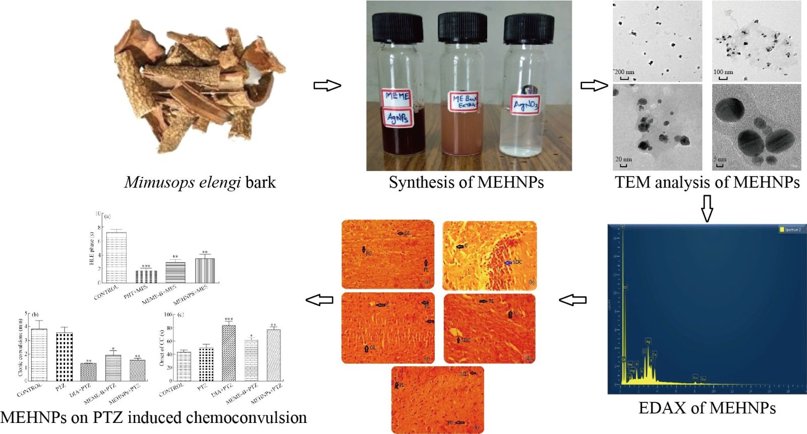 home-nano-biomedicine-and-engineering